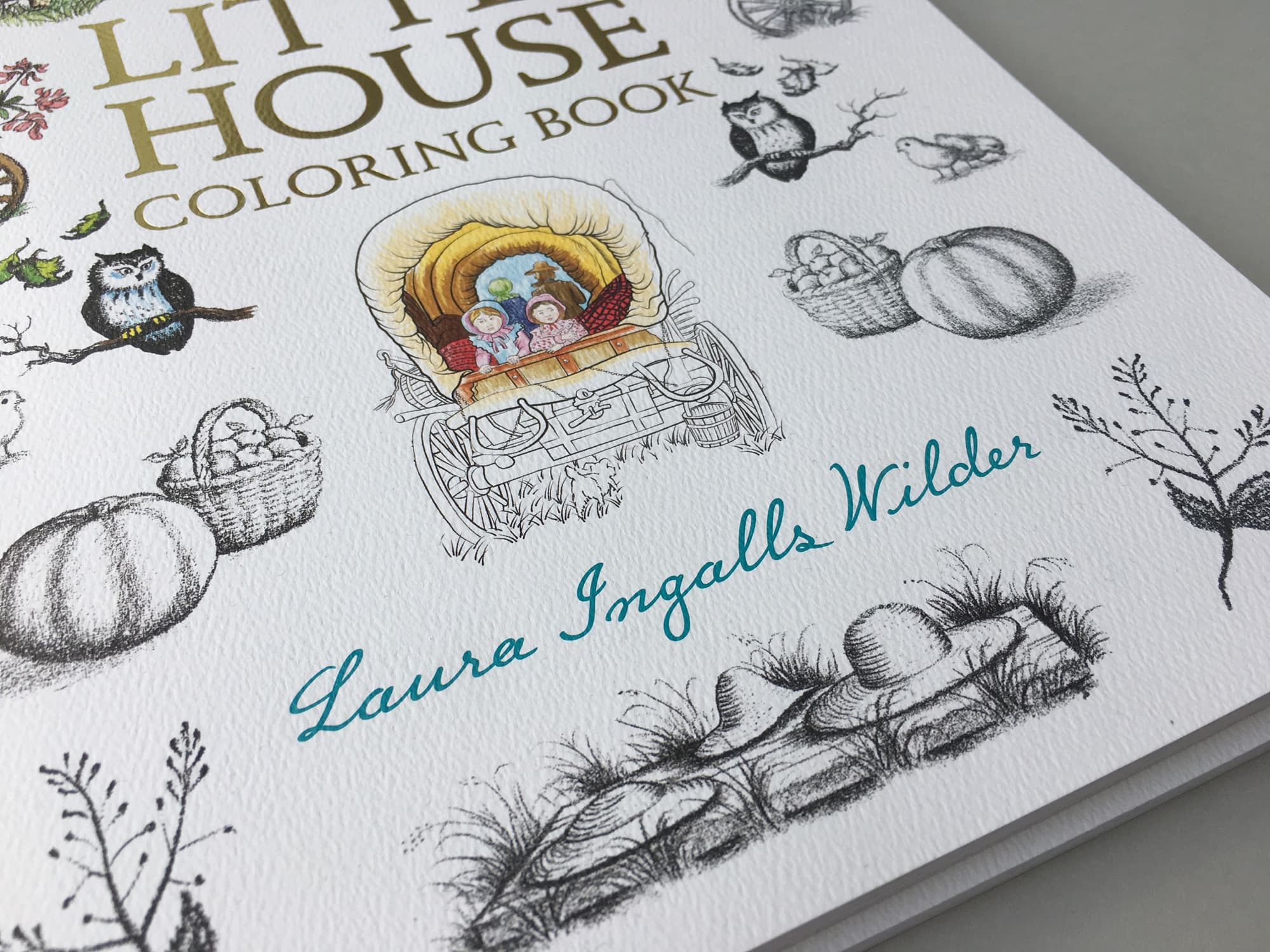 sample of Little House Script: coloring book