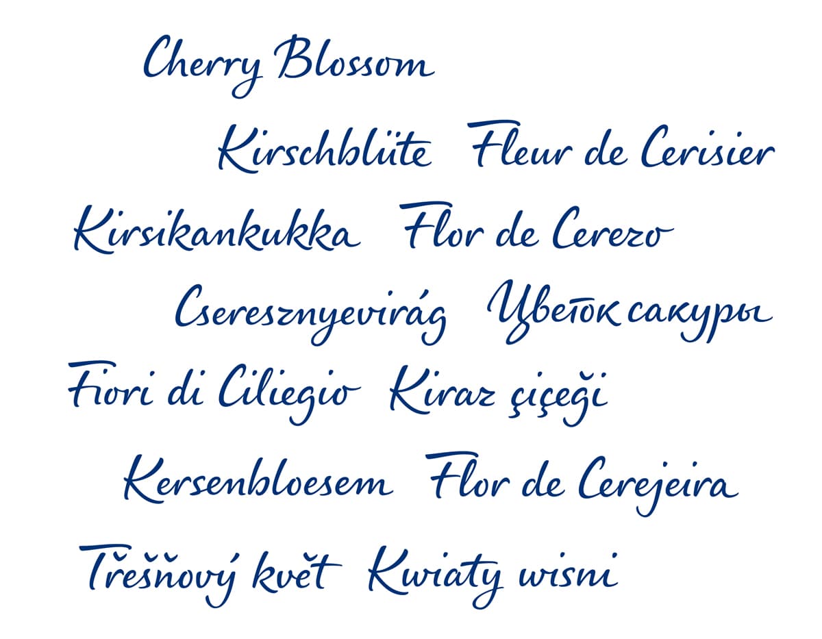 word Cherry blossom in different languages, set in Nivea Care Type font